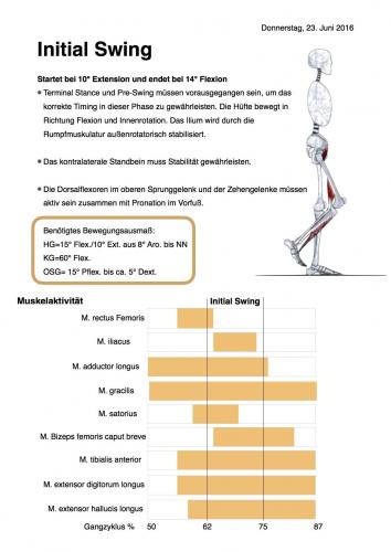 Mehr Informationen zu "Initial Swing Handout"