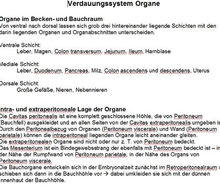 Mehr Informationen zu "Verdauungssystem"