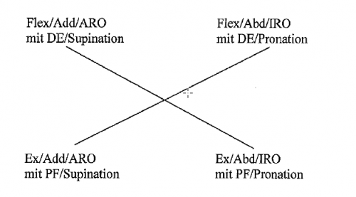 Mehr Informationen zu "PNF"