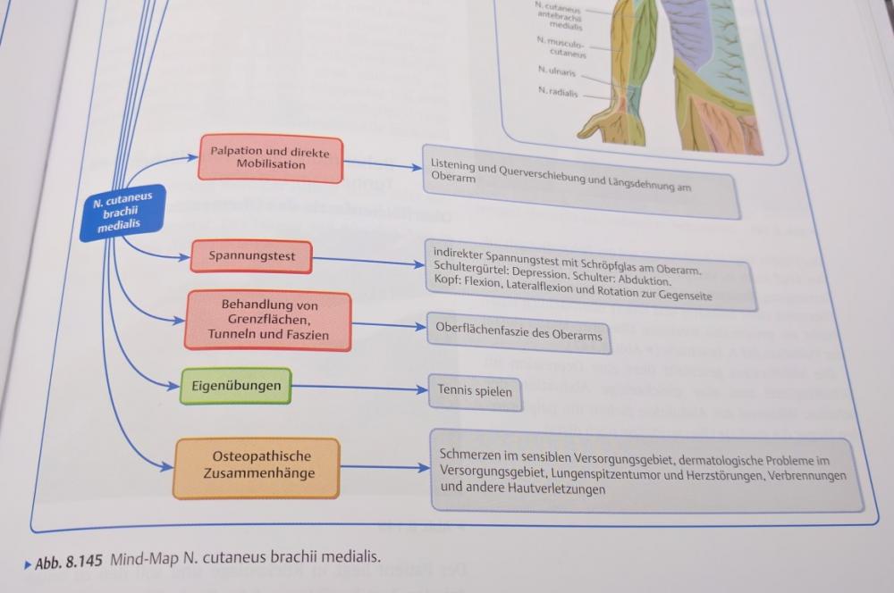 201701-mind-map-n-cutaneus-brachii.jpg