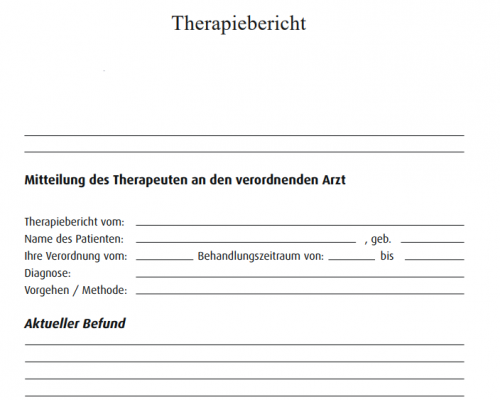 Mehr Informationen zu "Therapiebericht"