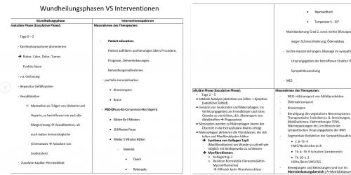 Mehr Informationen zu "Wundheilung & Interventionen"