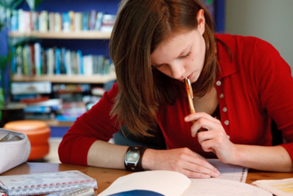 Mehr Informationen zu "Physiotherapie Studium"