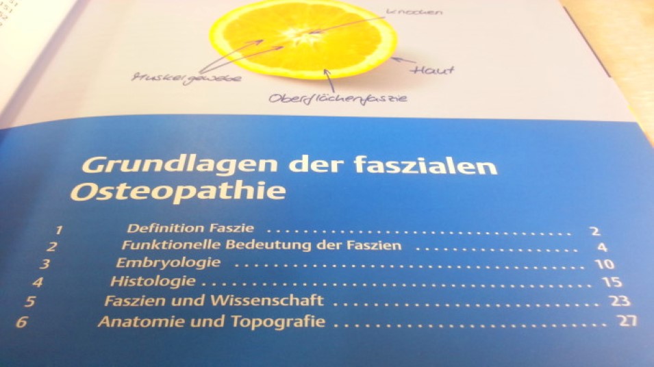 Mehr Informationen zu "Fasziale Osteopathie - Grundlagen und Techniken"
