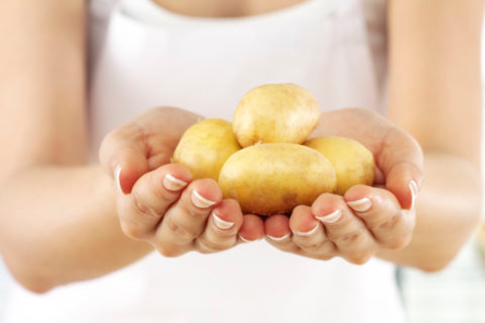 Mehr Informationen zu "Kartoffeln für gesunde Ernährung und schlanke Linie"