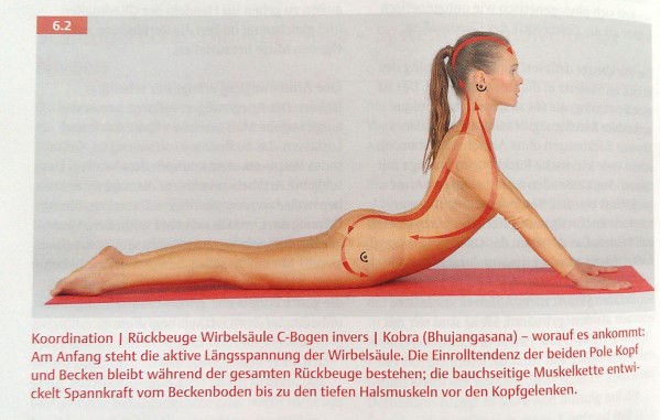 Yogaübung zur Koordination