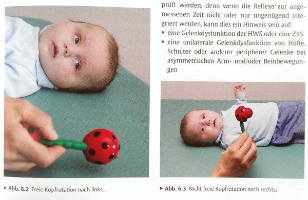 Dorn Kinder Säuglinge